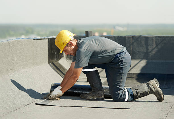 Best Insulation Maintenance and Repair in Gonzales, TX